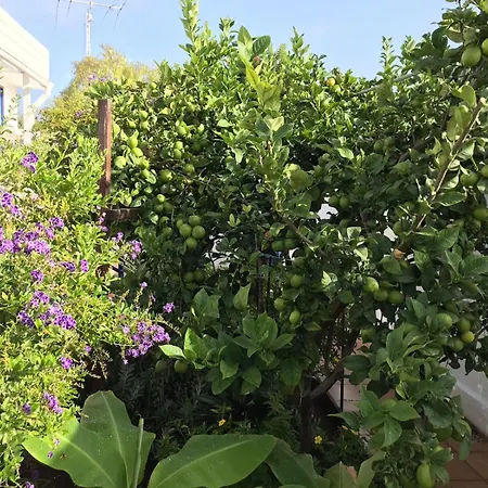 Oceanfront In Private - Next To The Puerto de Santiago (Tenerife)