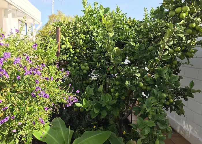 Oceanfront In Private - Next To The 圣地亚哥港